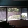dark sunshade white box